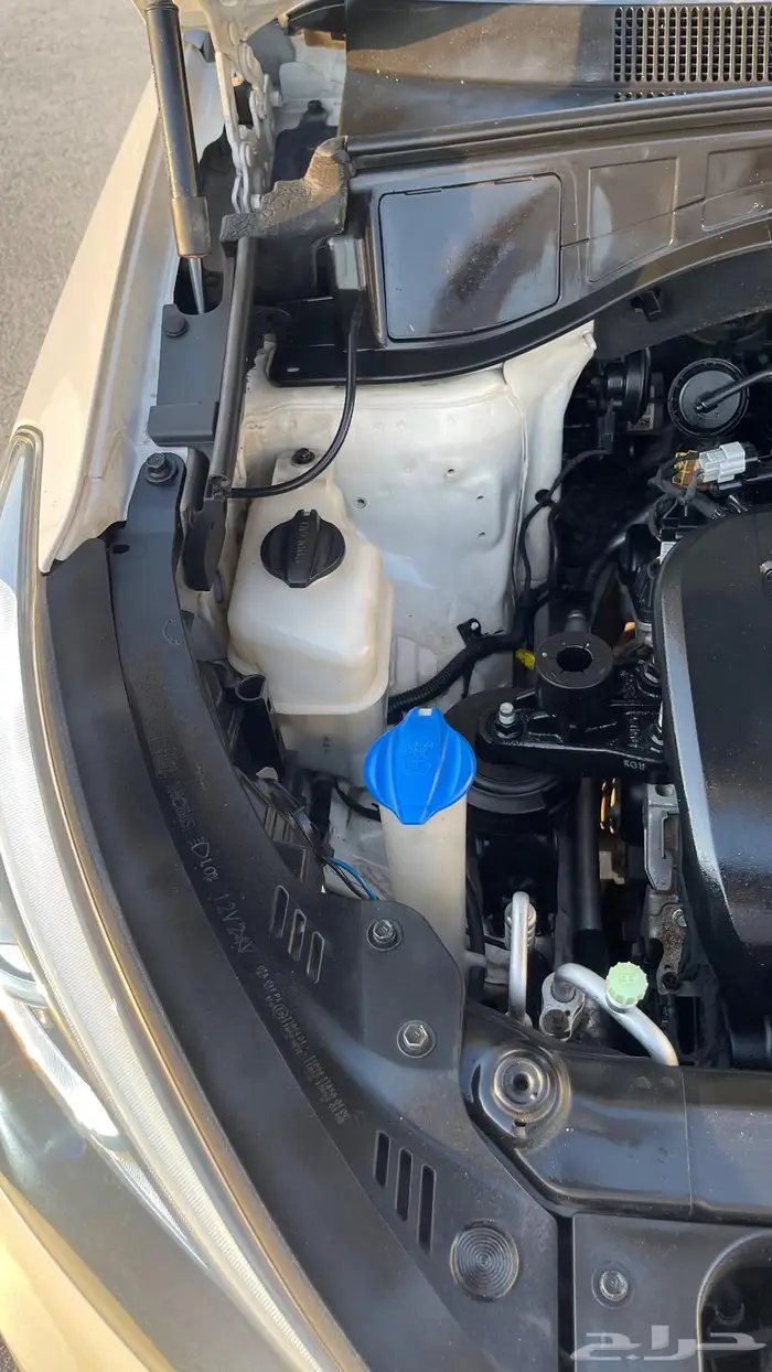 سنتافي 2016 دبل بانوراما سعودي نظيف 21