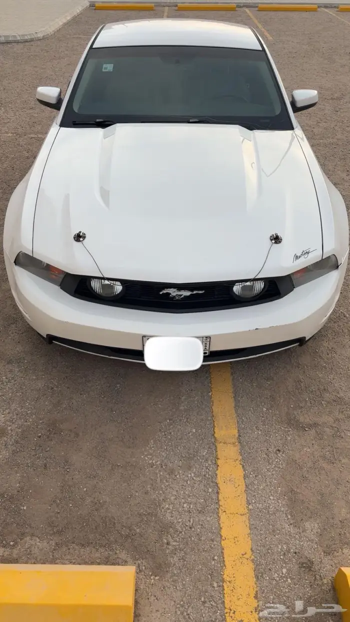 للبيع فورد موستنج GT 11