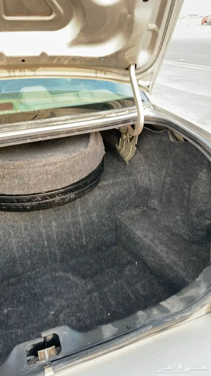 فكتوريا 2004 11