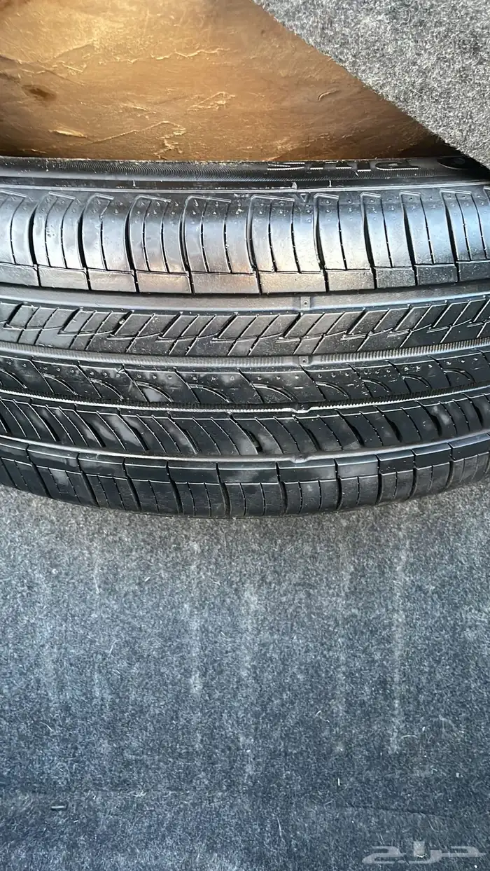 فكتوريا 2004 9