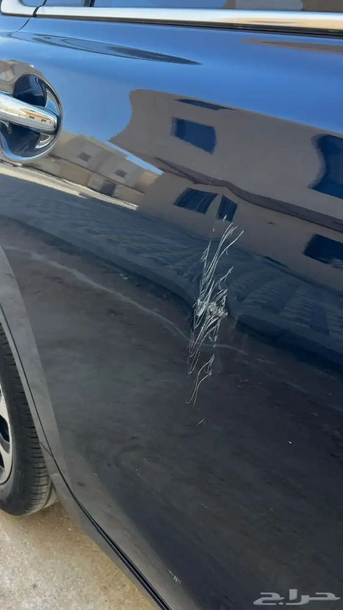 للبيع بالينو 2024 4