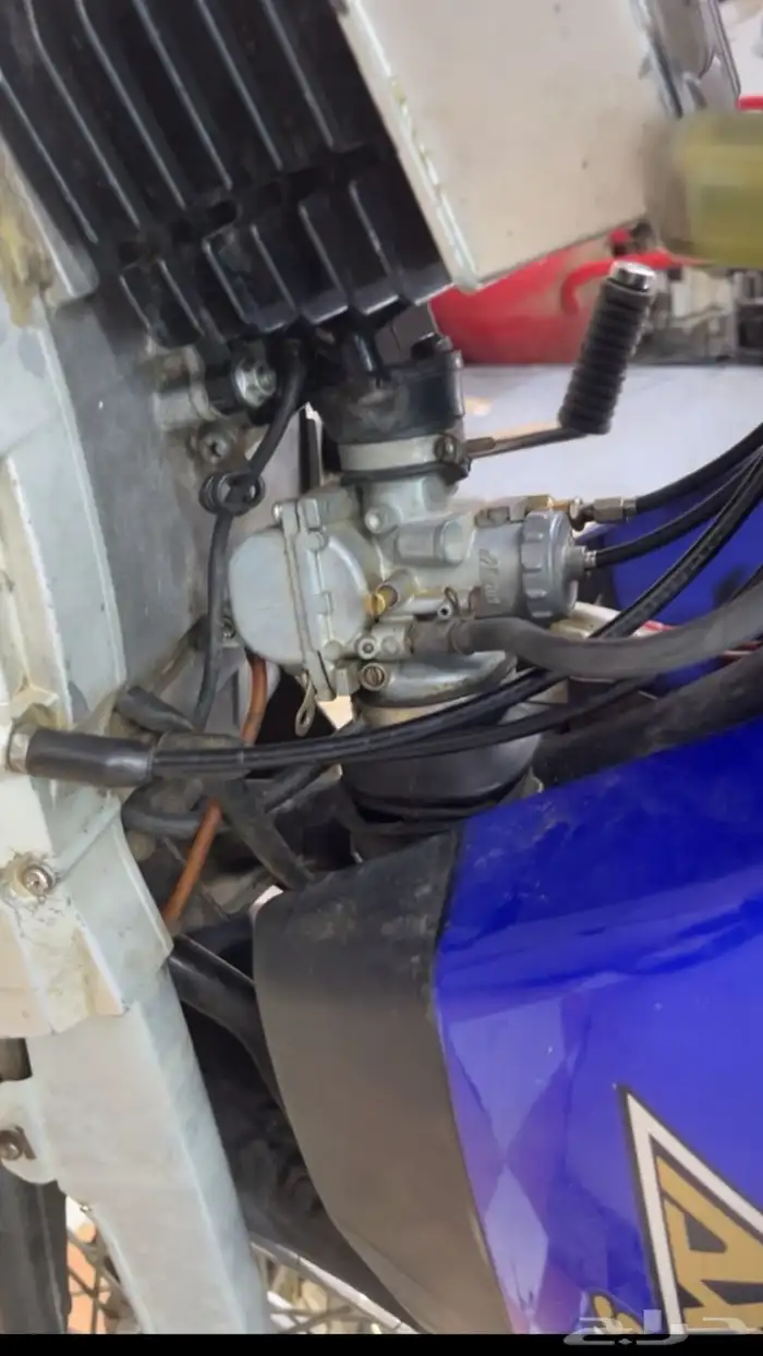 اكس ميه مجدد كامل نظيف بدون اوراق 3