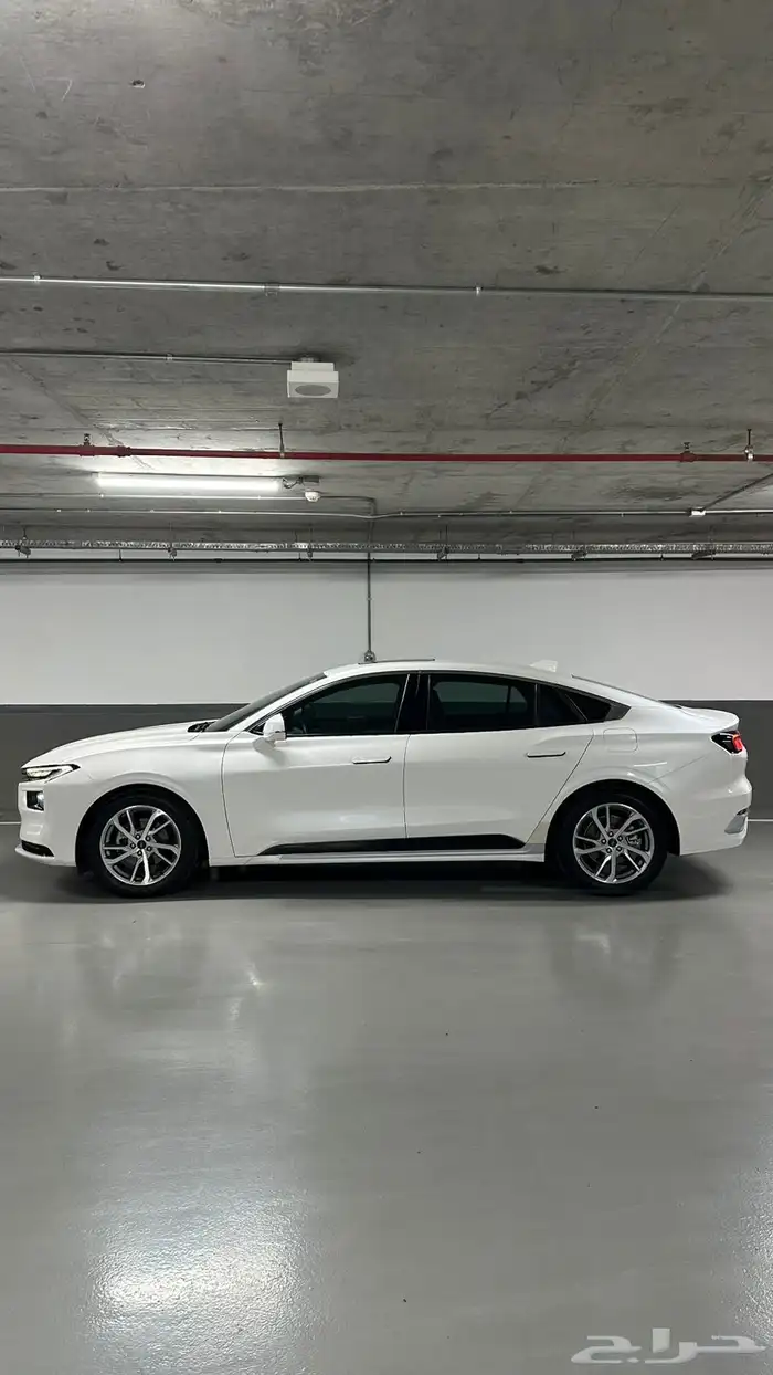 تورس 2023 وارد الناغي فئة ترند 11