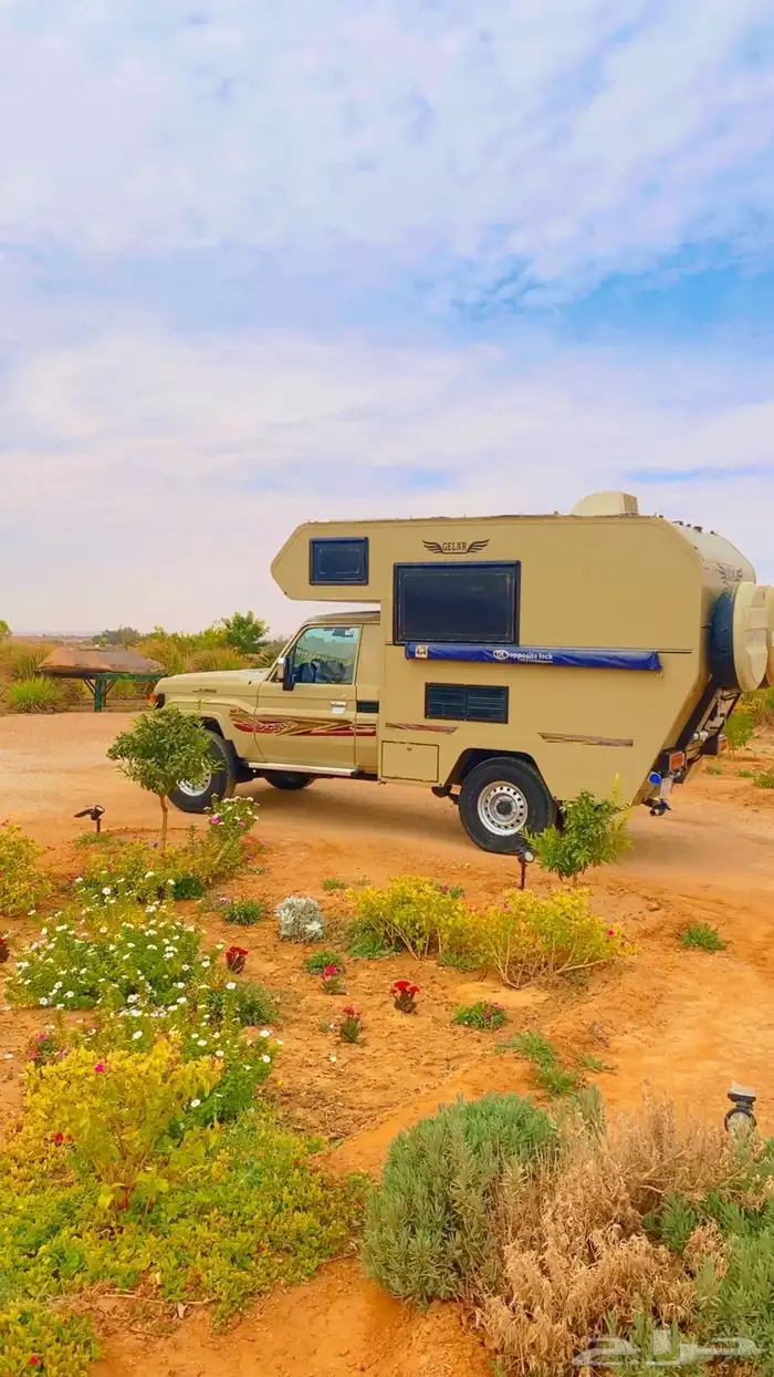 جيب شاص 2024 2