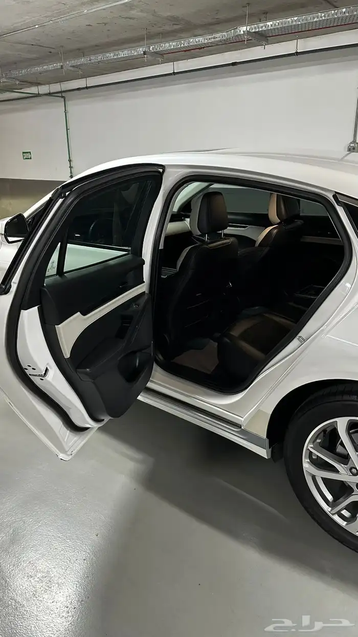 تورس 2023 وارد الناغي فئة ترند 7