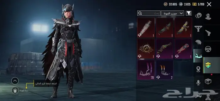 حساب ببجي للبيع 2