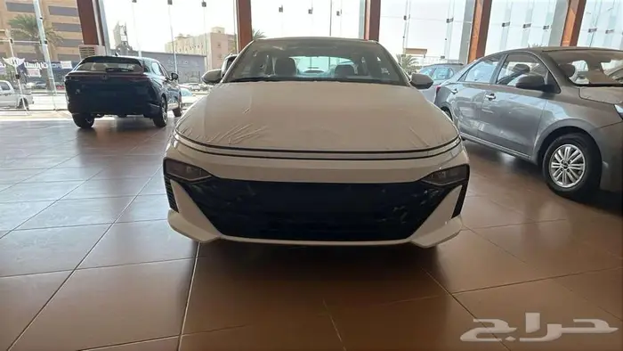 هيونداي أكسنت فليت 2026 0