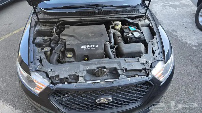 فور تورس فئة شو موديل 2010 8