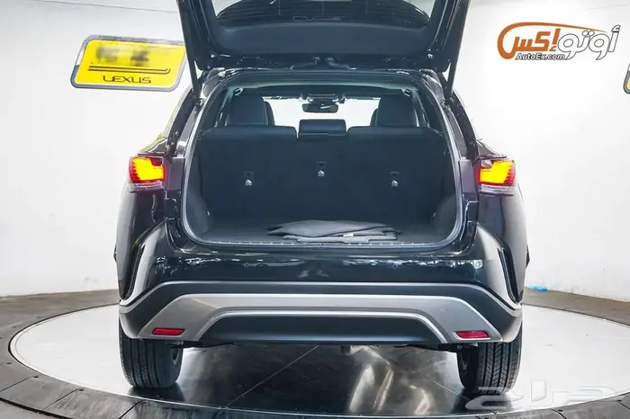 2025 لكزس RX 350 SUV 10