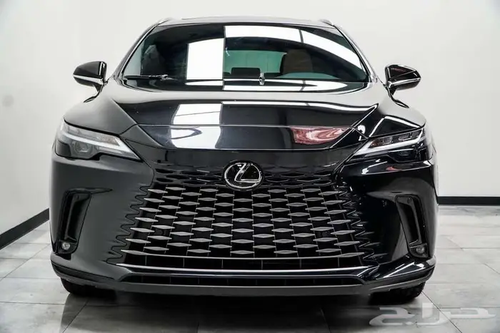2023 Lexus RX 350 PREMIUM 1