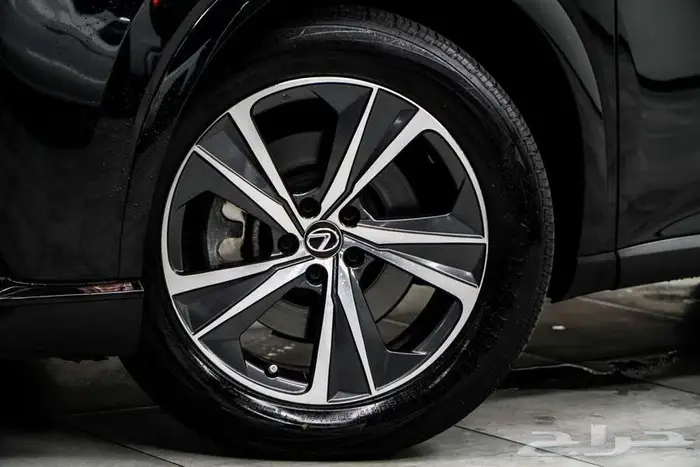 2023 Lexus RX 350 PREMIUM 19