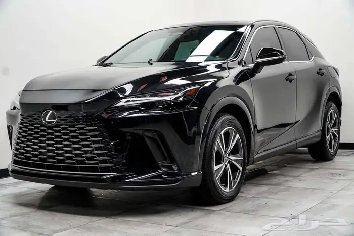 2023 Lexus RX 350 PREMIUM 3