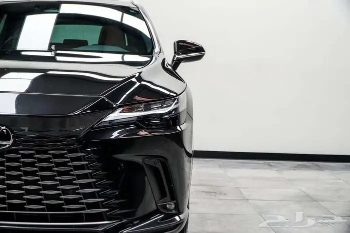 2023 Lexus RX 350 PREMIUM 2