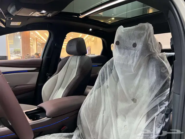 بي واي دي سيل7 BYD S7 19