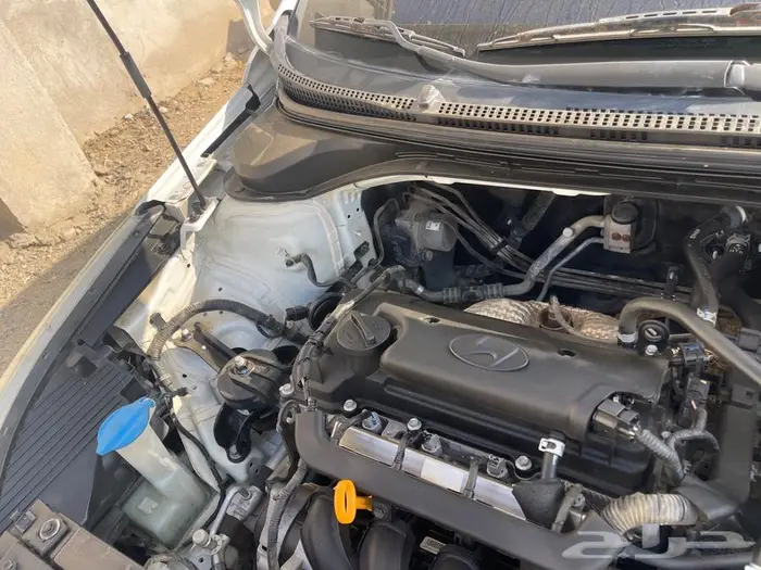 اكسنت 2018 ستاندر تماتيك 11