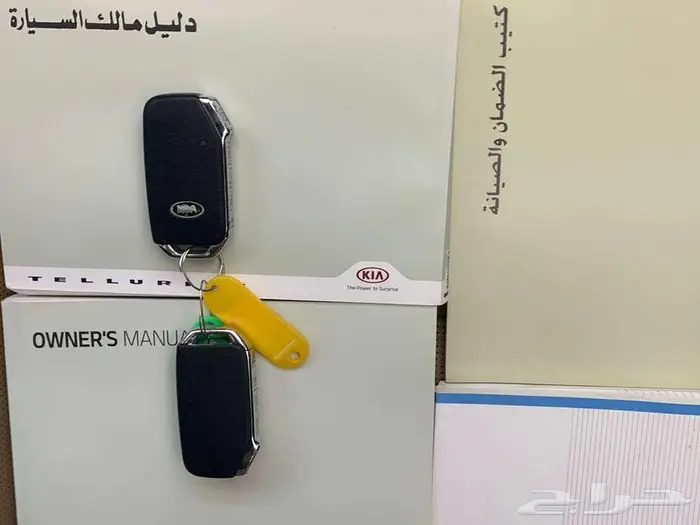 كيا تيلورايد EX V6 2020 33
