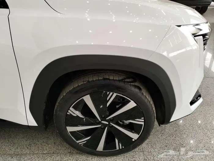 جيلي ستار راي 2024 اقل سعر عروض الكاش نهايه العام 11