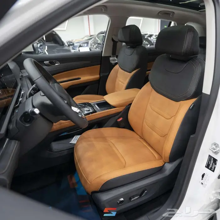 فورد تيريتوري تيتانيوم الجديدة كليا موديل 2026 13