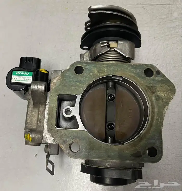 ثروتل هوندا اكورد 11