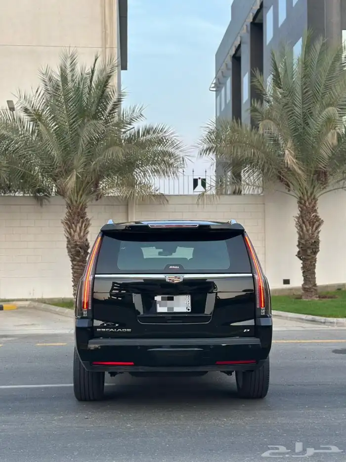 كاديلاك اسكاليد بلاتينيوم 2020 9