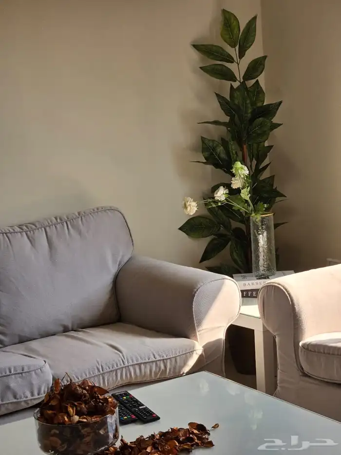 شقة مفروشة غرفتين وصالة بحي الروضة 2