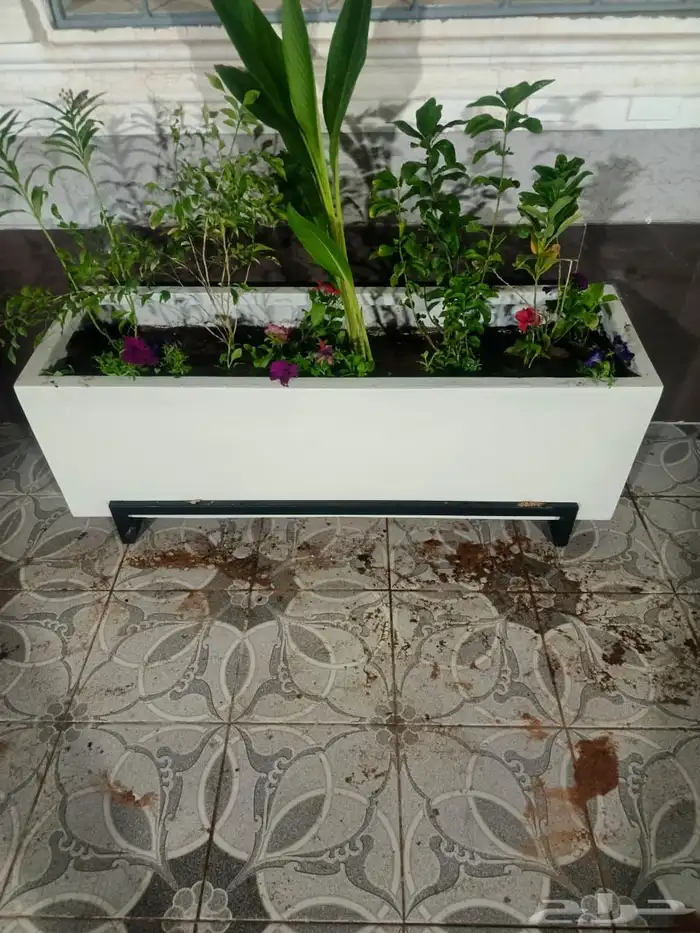 احواض زراعية فايبر جلاس 1