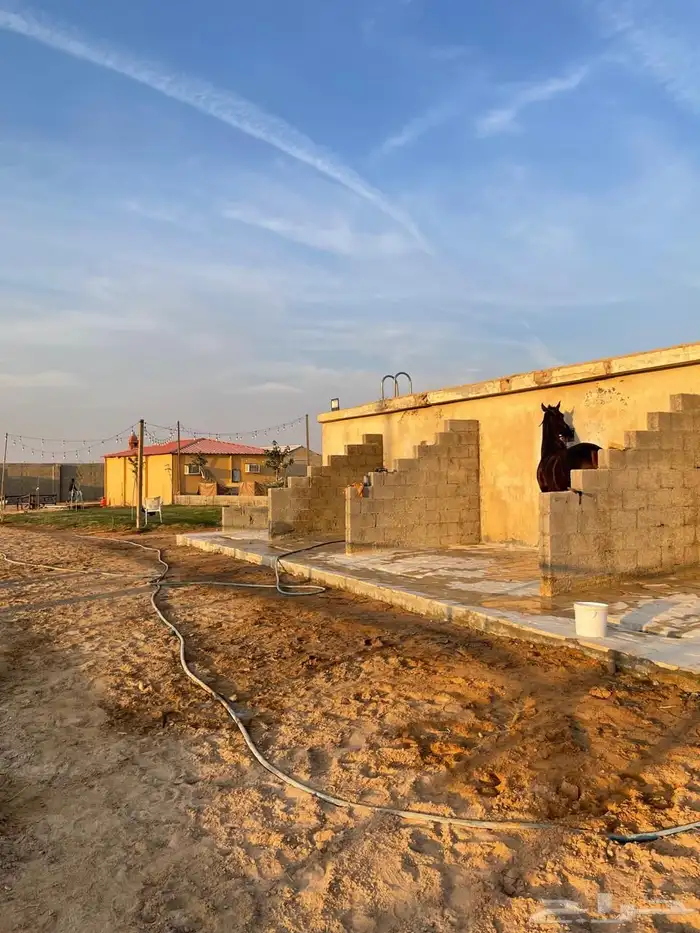 اسطبل ومربط الرحابه للايواء 1
