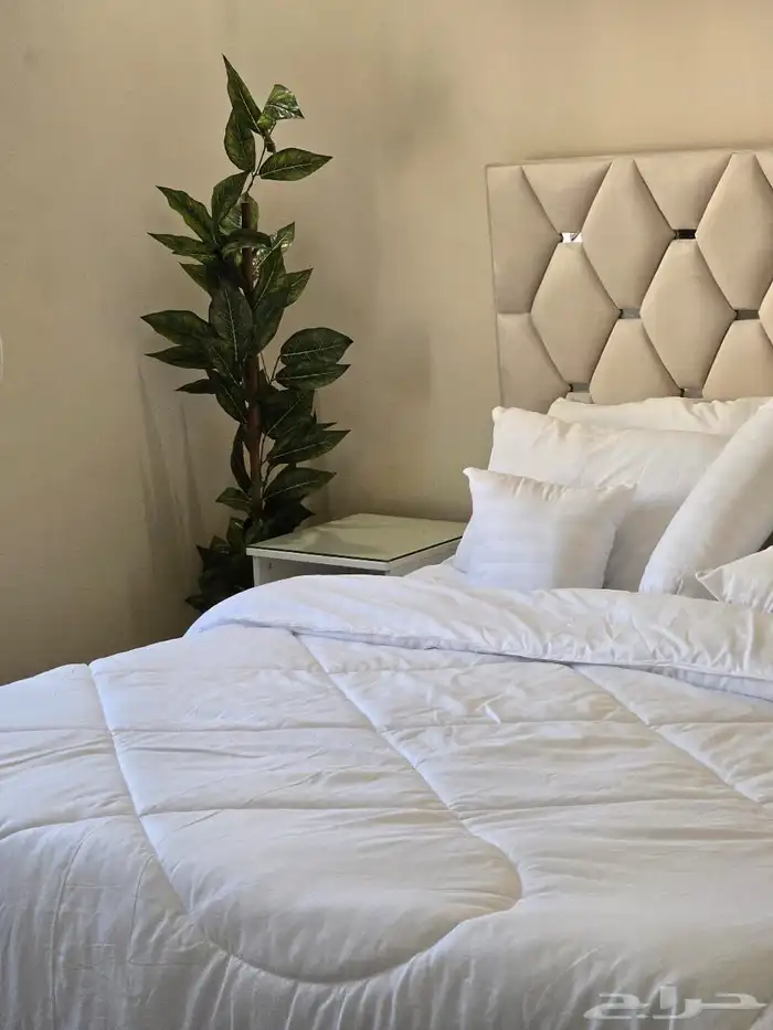 شقة مفروشة غرفتين وصالة بحي الروضة 0