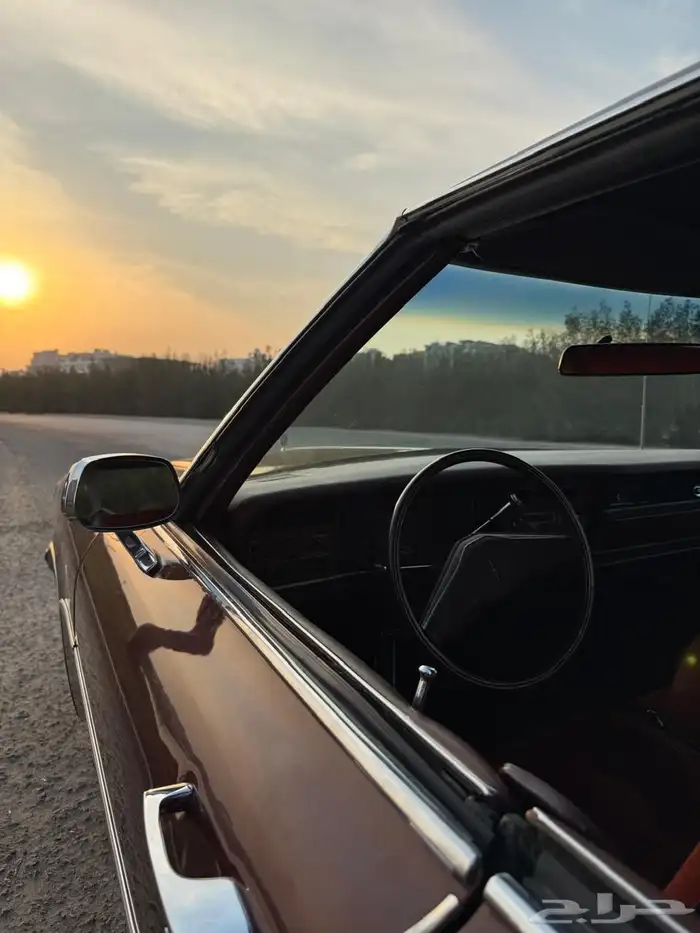 اولدز موبيل 1976 10