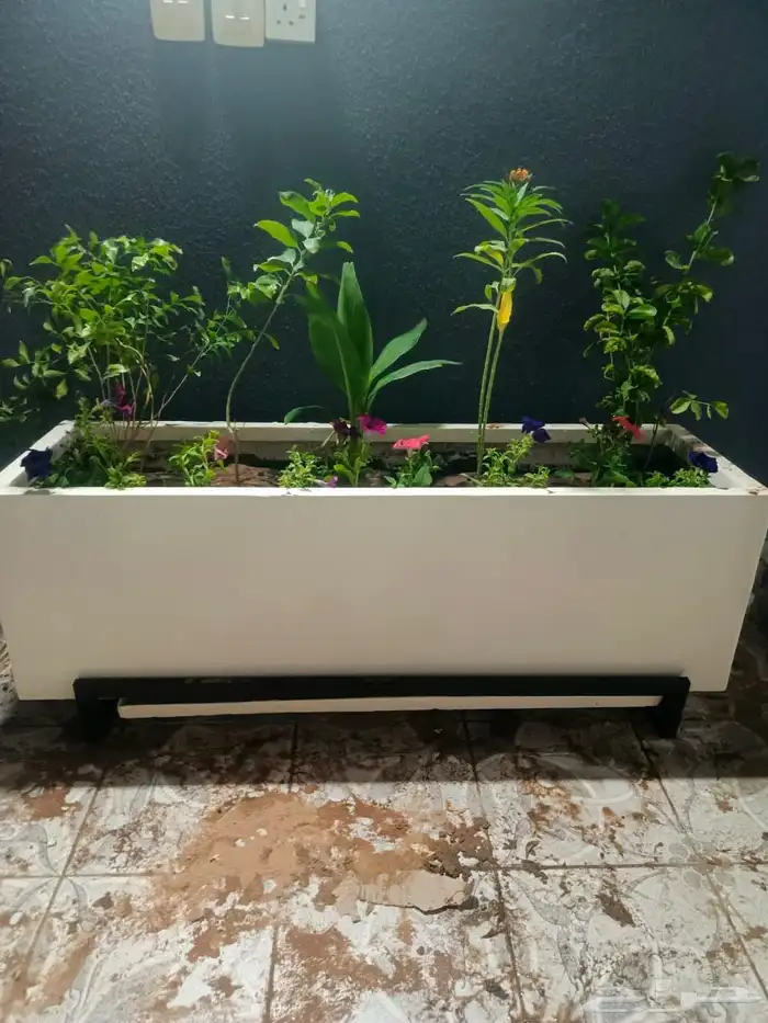 احواض زراعية فايبر جلاس 3