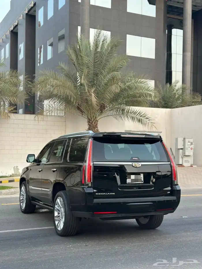 كاديلاك اسكاليد بلاتينيوم 2020 11