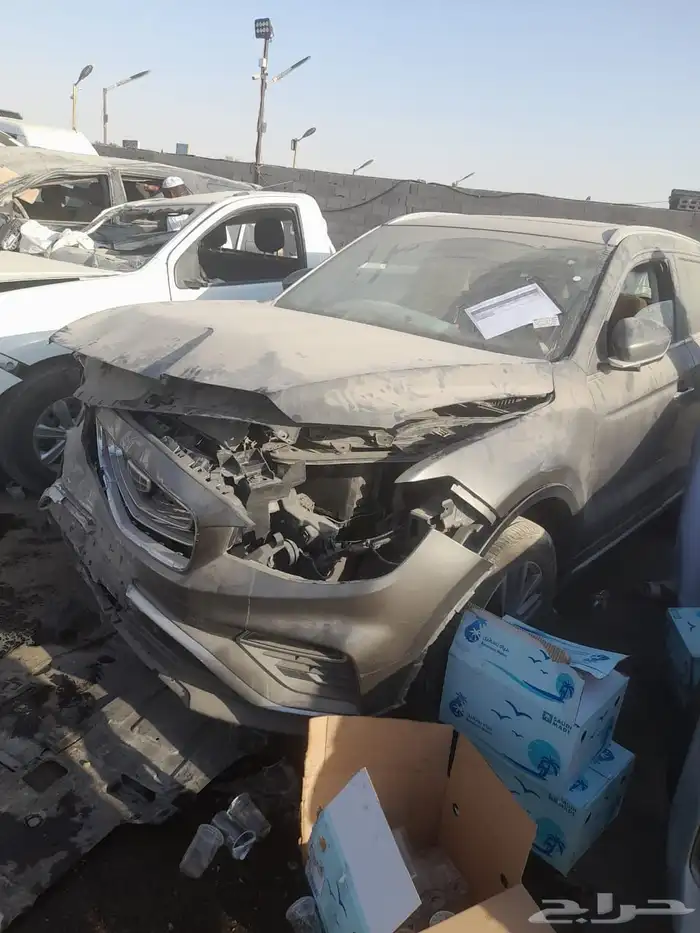 جيلي ازكارا 2022 للبيع 15