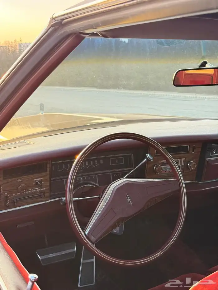 اولدز موبيل 1976 28