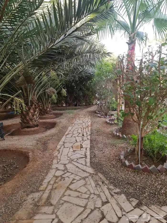 استراحه مزرعه للبيع الهياثم الرحمانيه العفجه الخرج الرفايع 8