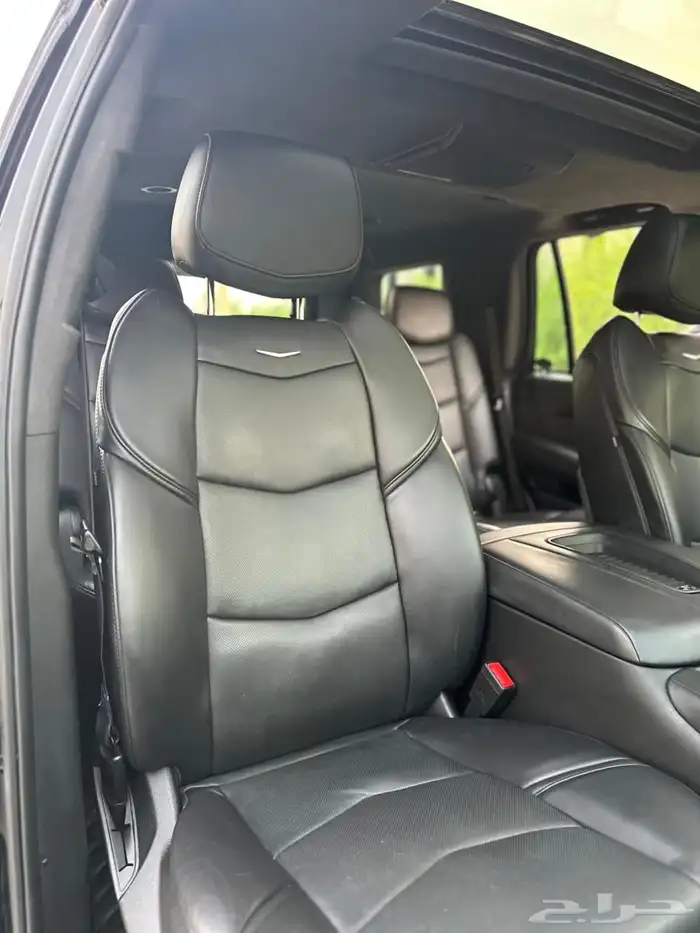 كاديلاك اسكاليد بلاتينيوم 2020 25