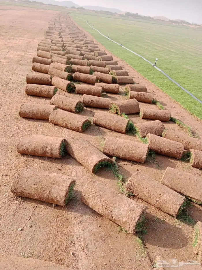 ثيل طبيعي درجه اولى مشروط مضمون 8