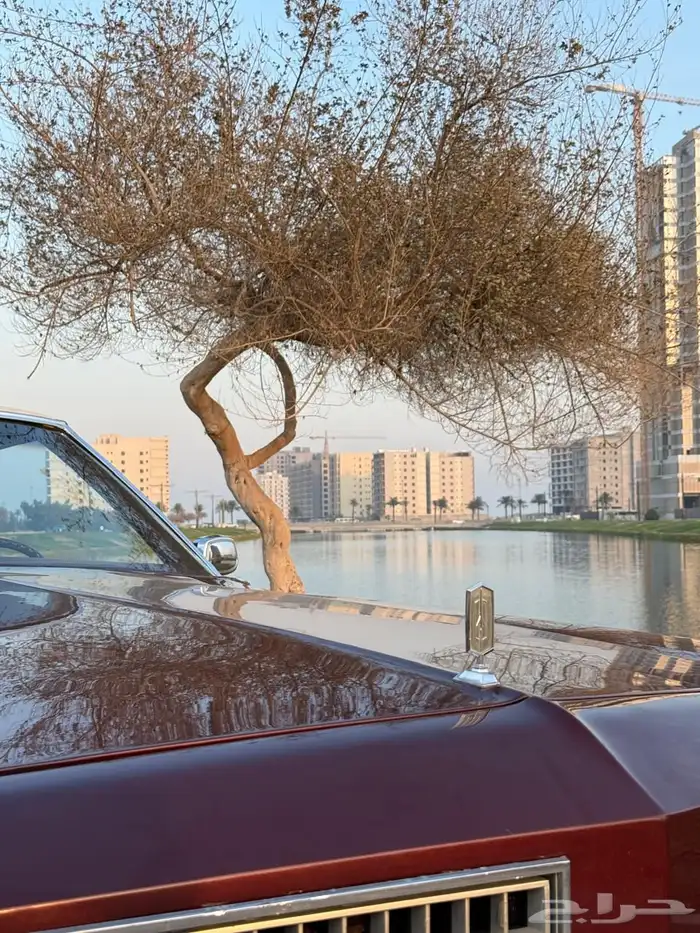 اولدز موبيل 1976 13