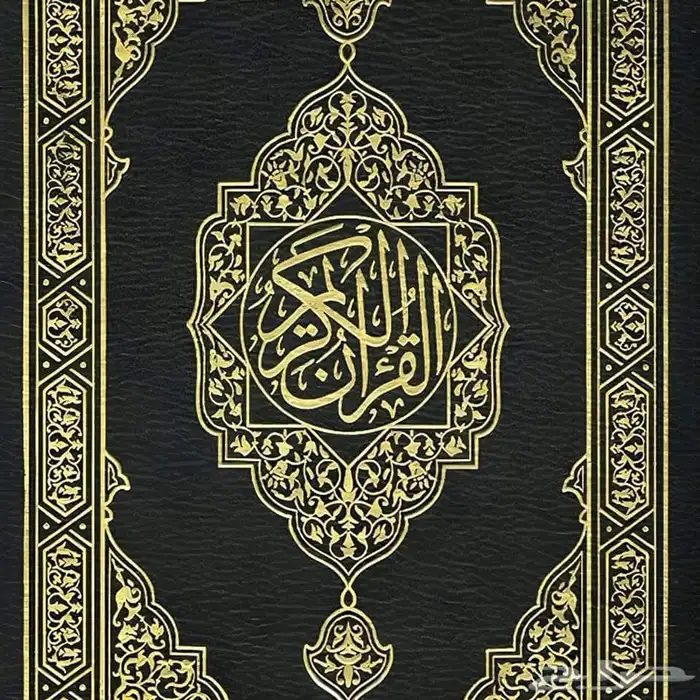 معلم قرآن كريم ولغة عربية 0