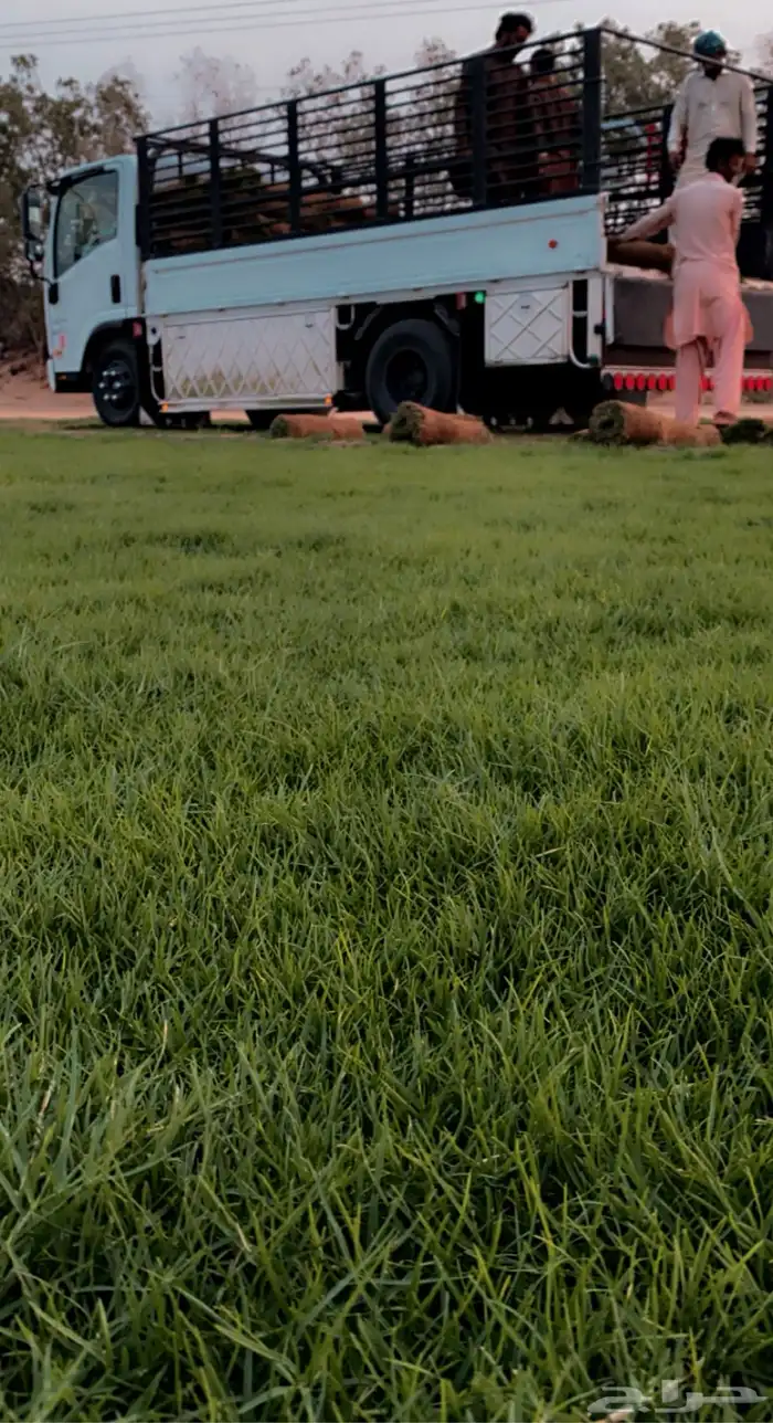 دينا 2017 للبيع 0