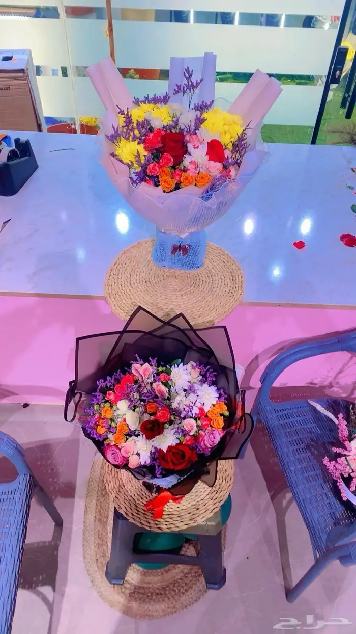 زهرة تشرين 8