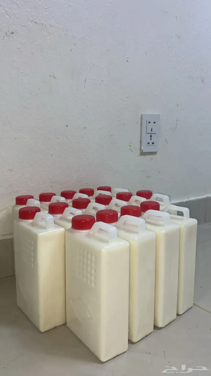 لبن عنم مراح حري 4