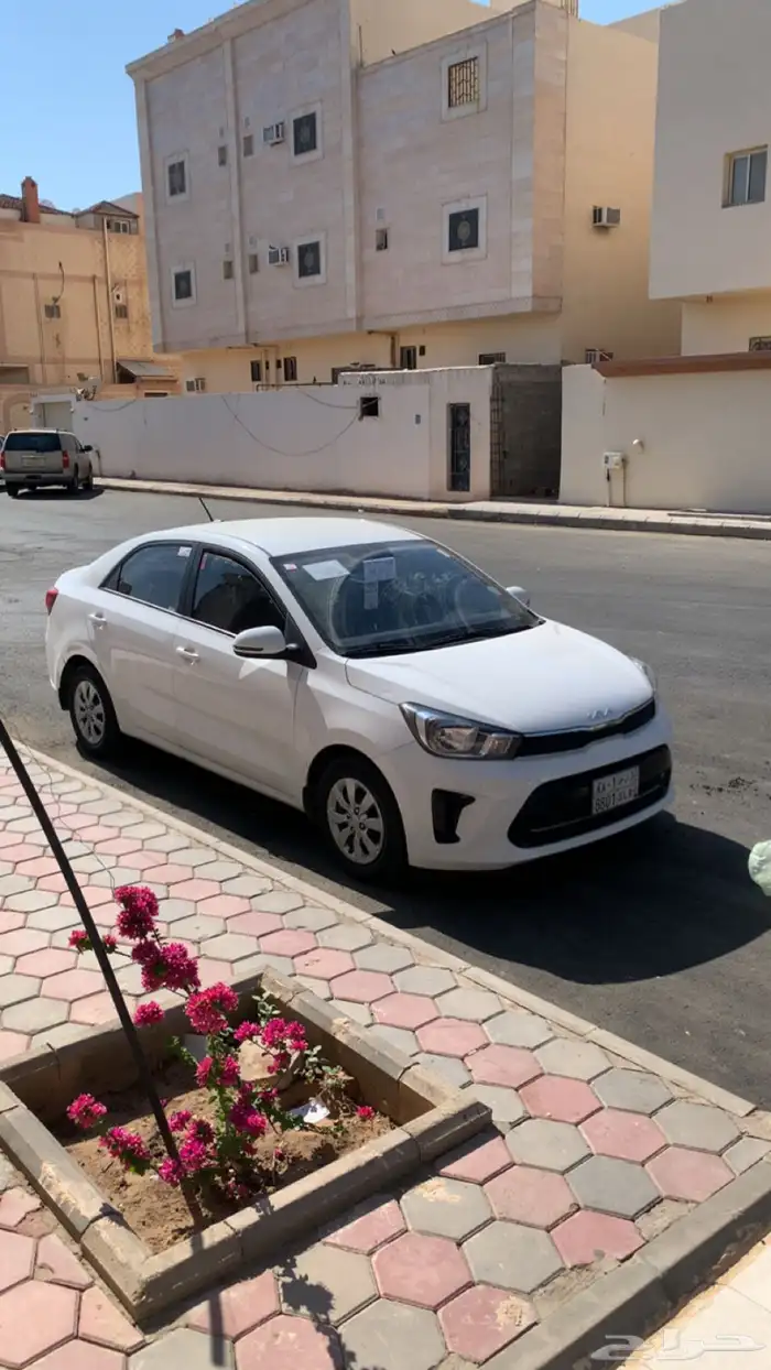كيا بيقاس ستاندرد موديل 2024 1