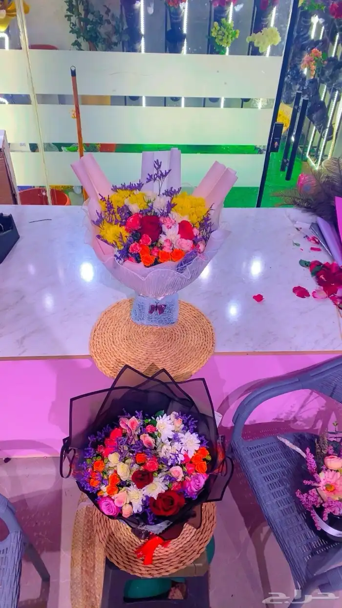 زهرة تشرين 6