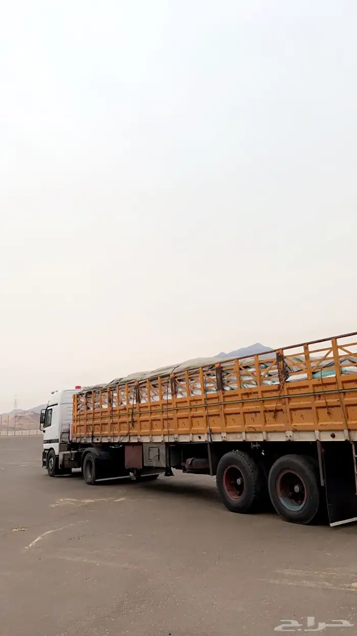 تريله جوانب من جده الى اي اتجاه 1