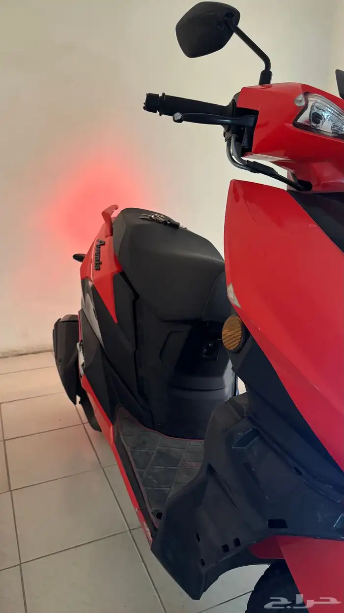 عجيب سزوكي 2023 6