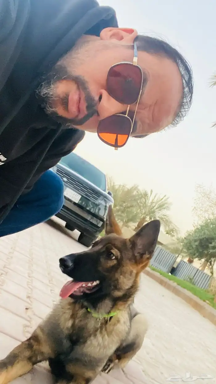 مدرب كلاب محترف بالرياض 9