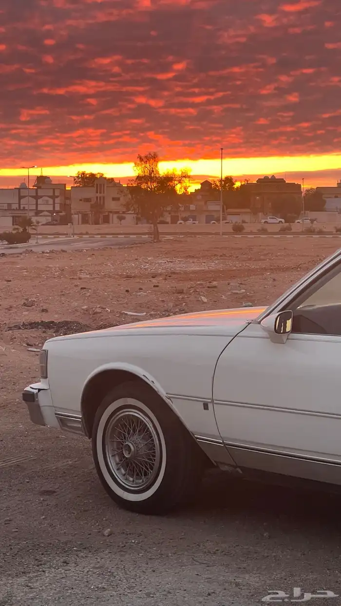 كابرس داخلي عنابي 88 20