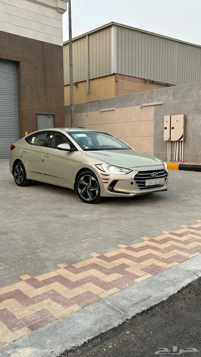 النترا2017 نص فل 1