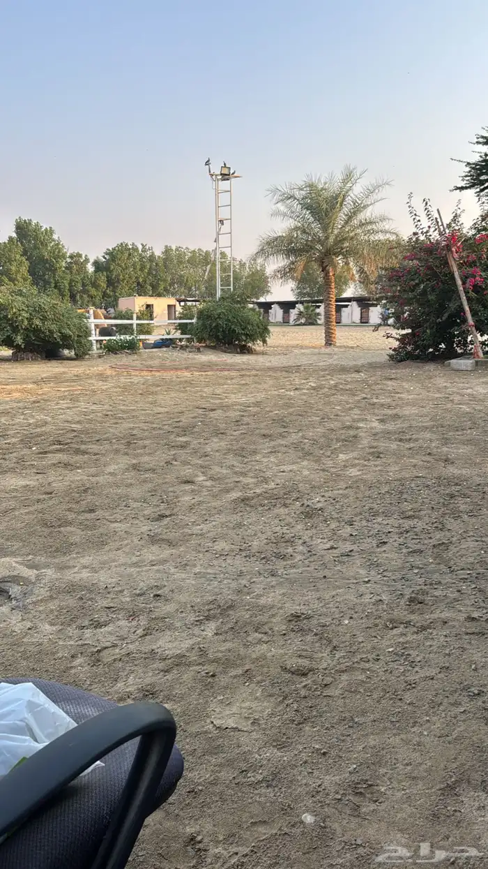 عرض ايواء غرف ايجار للخيوال 5