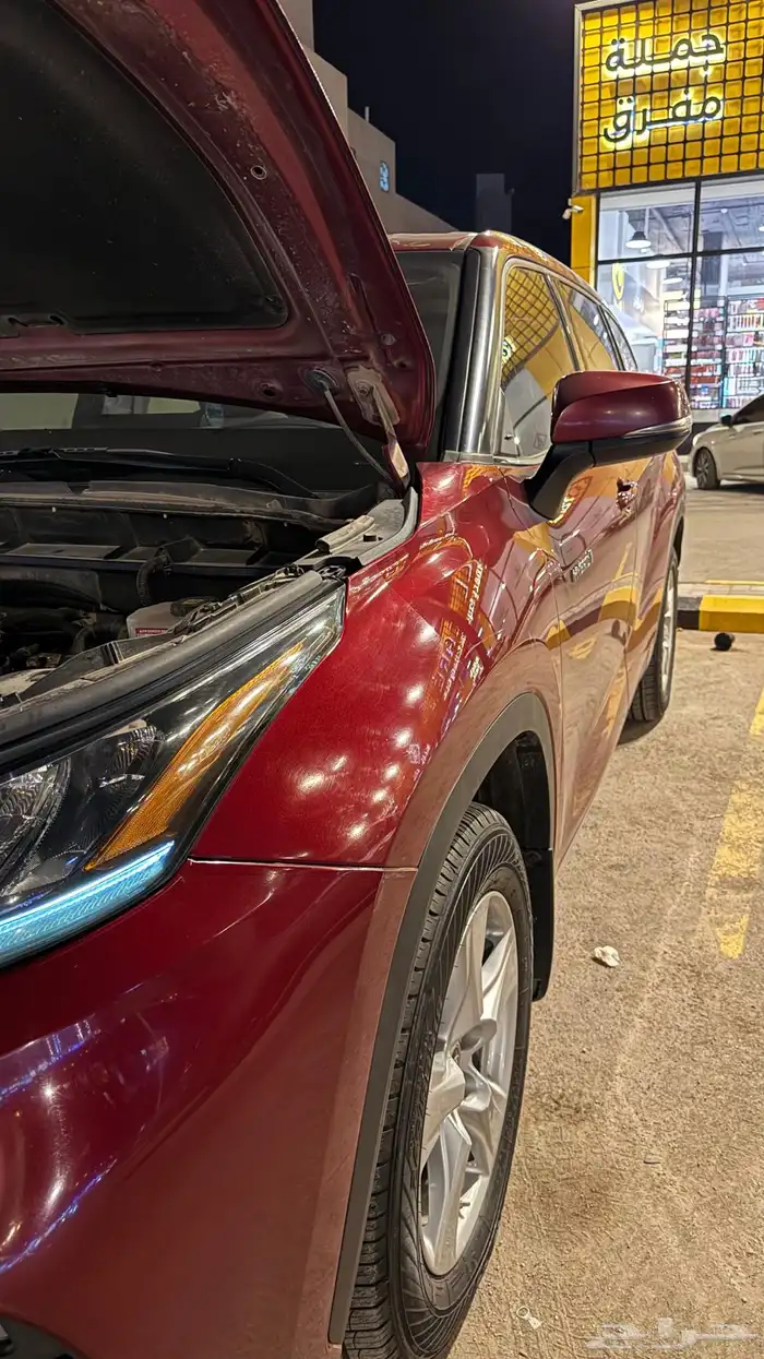 هايلاندر للبيع أو للتقبيل 14